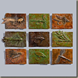 Fly Reliefs